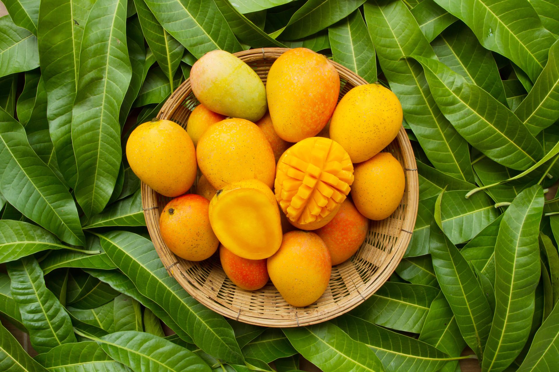 mango amarillo